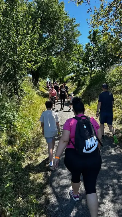 Na lesní pěšině